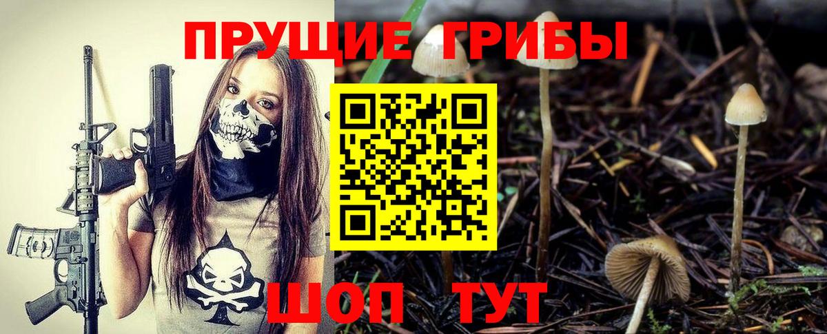 Псилоцибиновые грибы ЛСД Мурманск
